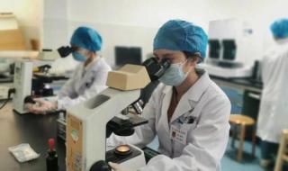 恐龙血是好还是坏 恐龙血型是什么血型